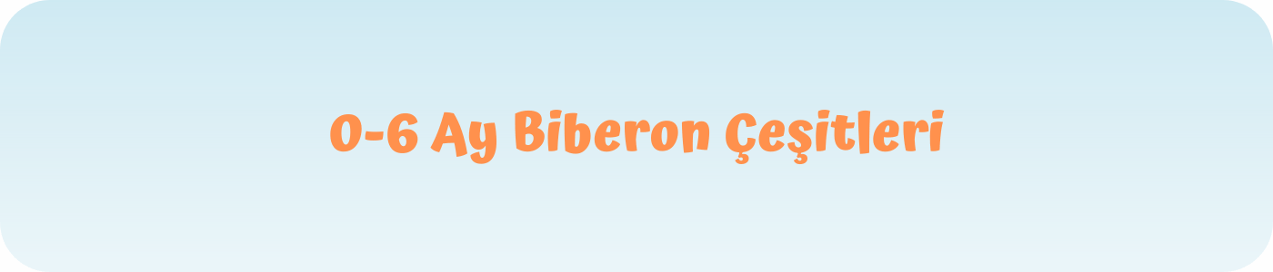 0-6 ay biberon çeşitleri ve markaları