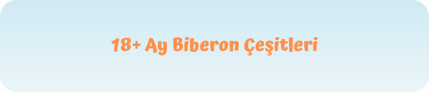 18 + Ay biberon çeşitleri