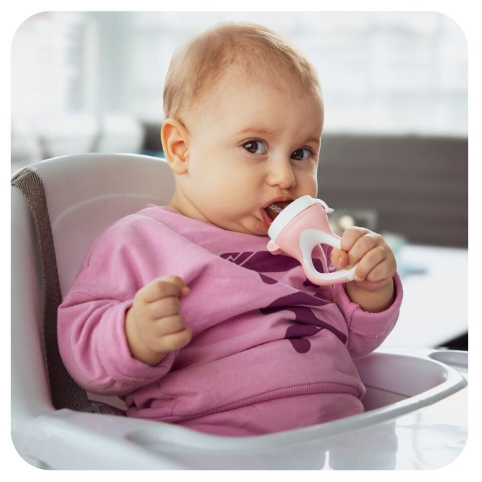 Babyjem Silikon Uçlu Meyve Sebze Emziği