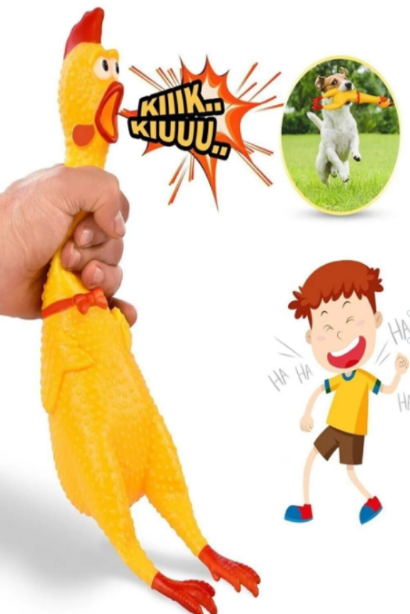 Shrilling Chicken Orta Boy Öten Horoz