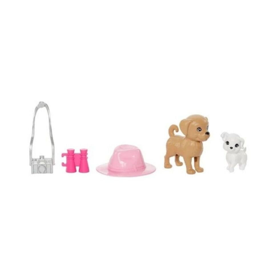 Barbie ve Stacie Kız Kardeşler ikili Set HRM09