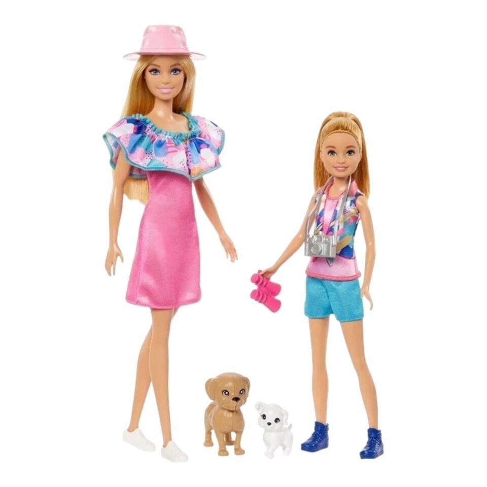 Barbie ve Stacie Kız Kardeşler ikili Set HRM09