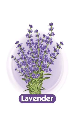 Babyturco Lavender Islak Mendil 70'li