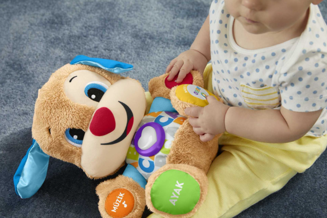 FİSHER-PRİCE EĞİTİCİ KÖPEKCİK (TR) MATE-FPN79 FP