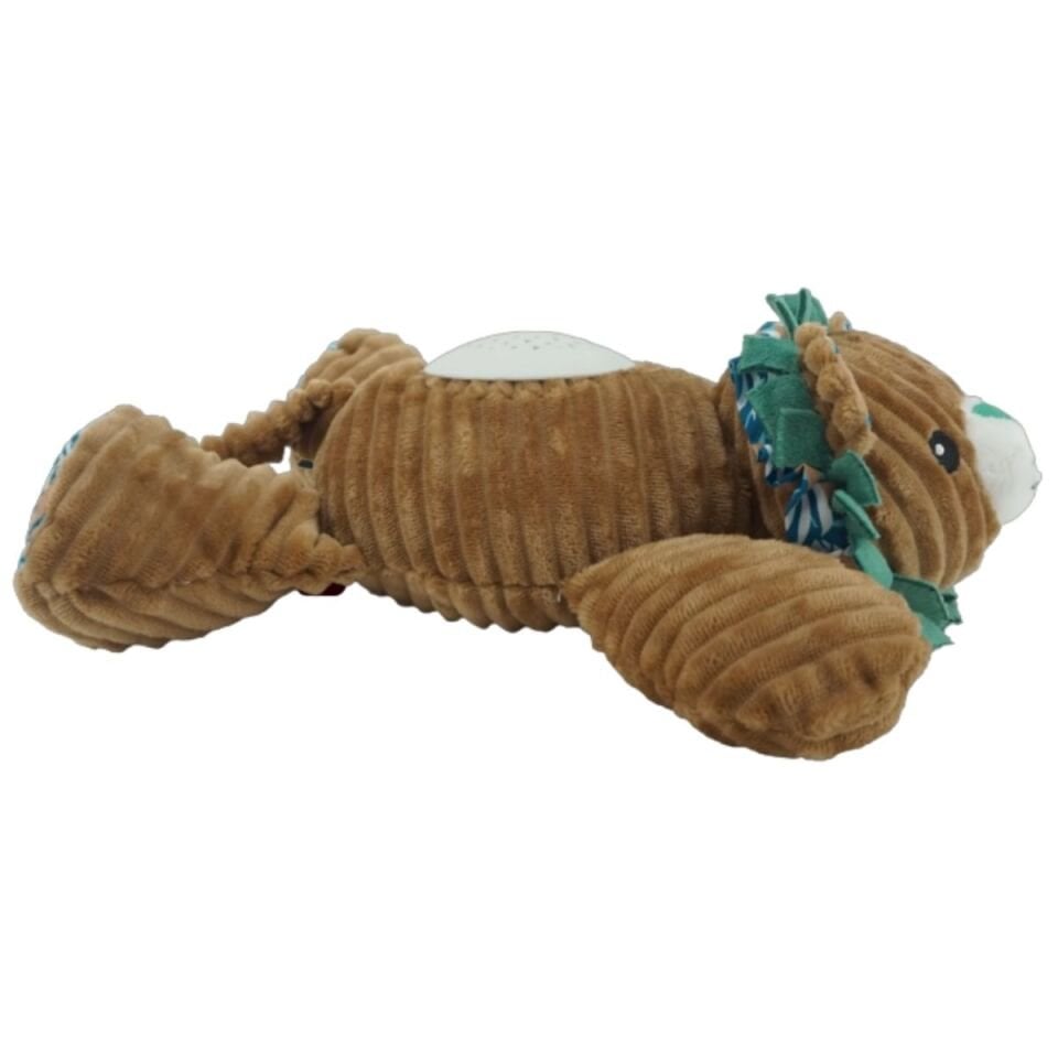 Prego Müzikli Ve Gece Işıklı Aslan