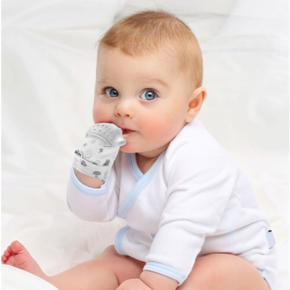 Babyjem 612  Diş Kaşıyıcı Eldiven Kirpi Gri