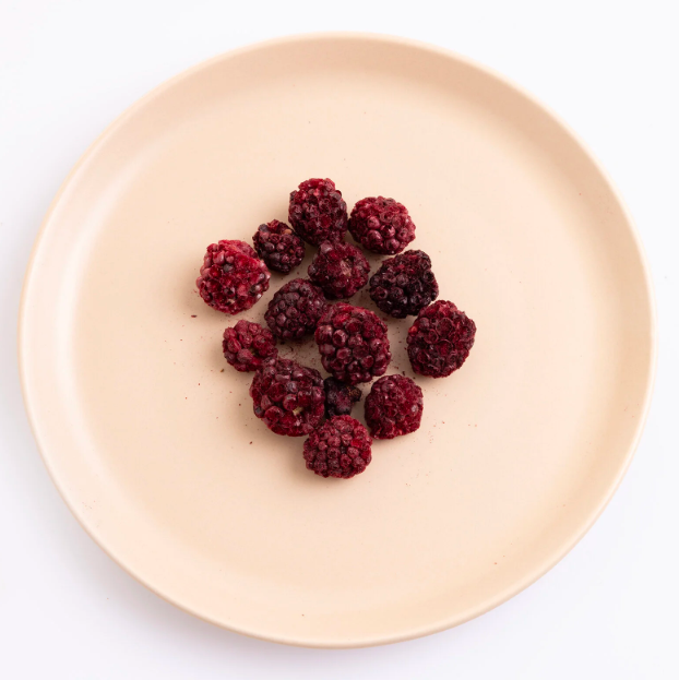 Freeze Fresh Böğürtlen Cipsi 20gr