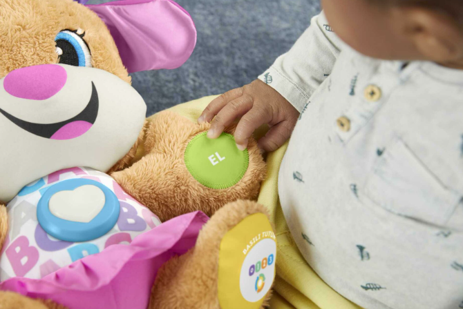 Eğitici Köpekçiğin Kız Kardeşi MATE-FPP83 FP